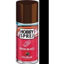 Colorlak Hobby barva na kůži sprej černá 160 ml