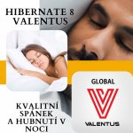 Valentus HIBERNATE 8 28 ks – Zbozi.Blesk.cz