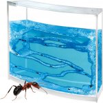 Mravenčí akvárium Ant Quarium Domácí mraveniště Blue – Zboží Mobilmania