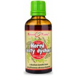 Bylinné kapky Horní cesty dýchací Nachlazení tinktura 50 ml – Hledejceny.cz