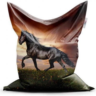 Sablio sedací vak Classic Friský kůň 150 x 100 cm – Zbozi.Blesk.cz