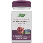 Nature's Way Pomegranate 60 kapslí – Hledejceny.cz