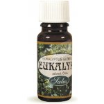 Saloos esenciální olej Eukalypt 10 ml – Zboží Dáma
