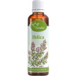Serafin tinktura z bylin Jehlice trnitá 50 ml – Hledejceny.cz