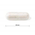 Jamieson Probiotic 10 miliard 60 kapslí – Hledejceny.cz