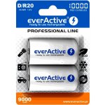 everActive professional line D 10000mAh 2ks EVHRL20-10000 – Zboží Mobilmania