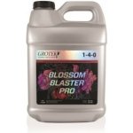 Grotek Blossom Blaster PRO 0,5 L – Hledejceny.cz