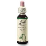 Dr. Bach Walnut Vlašský ořech 20 ml – Hledejceny.cz