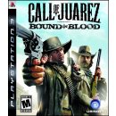 Hra na PS3 Call of Juarez: Bound in Blood