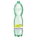 Mattoni bílé hrozny 1,5 l – Hledejceny.cz
