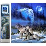 Norimpex Diamantové malování Divoký úplněk 30 x 40 cm – Sleviste.cz