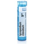 LYCOPODIUM CLAVATUM POR 9CH GRA 1X4G – Hledejceny.cz