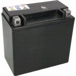 Exide AGM12-14 | Zboží Auto