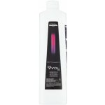 L'Oréal Diactivateur vyvíječ k přelivům Richesse 2,7% 1000 ml – Hledejceny.cz