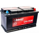 Bauer Calcium 12V 100Ah 750A BA10035 – Zboží Mobilmania