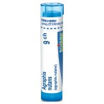 AGRAPHIS NUTANS POR 9CH GRA 1X4G – Hledejceny.cz