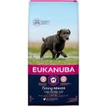 Eukanuba Dog Senior Large Chicken 15 kg – Hledejceny.cz