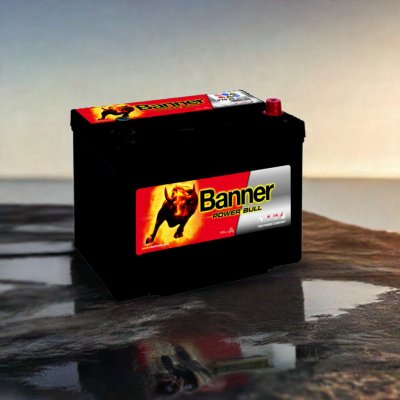 Banner Power Bull 12V 70Ah 600A P70 29 – Zboží Mobilmania