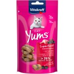 Vitakraft Cat Yums Superfood bezinky 40 g – Hledejceny.cz