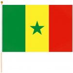Senegal vlajka malá – Hledejceny.cz