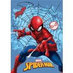 FARO Fleece deka Spiderman pavučina – Zboží Mobilmania