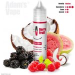 Adam´s Vape Shake & Vape Berry Fruit 12 ml – Zboží Dáma