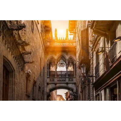 Dimex MS-5-1030 Vliesová fototapeta Carrer del Bisbe Barcelona rozměry 375 x 250 cm – Zboží Mobilmania