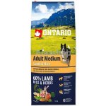 Ontario Adult Medium Lamb & Rice 12 kg – Hledejceny.cz