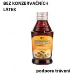 Topvet Sirup zázvorový 320 g – Hledejceny.cz
