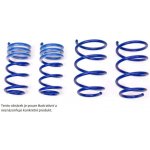 Sportovní pružiny ap Sportfahrwerke pro Seat Ibiza Mk III 6L1, max zatížení PN do 860 kg, snížení 30 mm / 30 mm, motorizace 1.4 16V, 1.4 TDI, 1.6, 1.6 16V – Zboží Mobilmania
