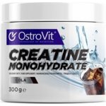 OSTROVIT Creatine 300 g – Hledejceny.cz