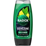 Radox Refreshment Menthol osvěžující sprchový gel pro muže 225 ml – Hledejceny.cz