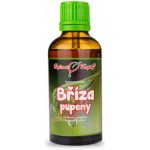 Dr. Popov Bylinné kapky Bříza bělokorá 50 ml – Hledejceny.cz
