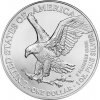 United States Mint Stříbrná mince American Eagle 1 oz 2024