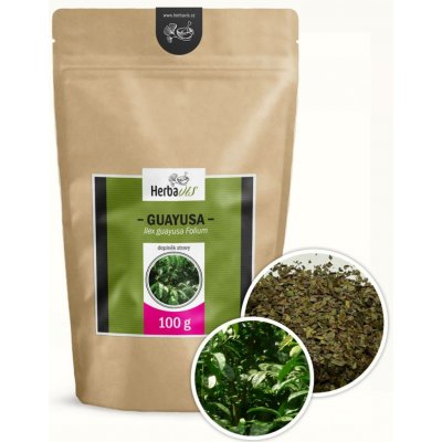 Herbavis Guayusa sušený list 100 g – Hledejceny.cz