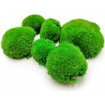 mech-mech.cz Ball Moss - kopečkový mech - středně zelená - 100g - SWE – Zboží Dáma