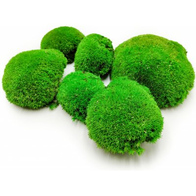 mech-mech.cz Ball Moss - kopečkový mech - středně zelená - 100g - SWE – Zboží Dáma