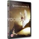 Andělé v americe DVD