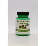 GALMED Ostropestřec + curcumin forte 60 kapslí – Hledejceny.cz