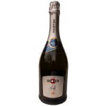 Martini Asti D.O.C.G. 7,5% 0,75 l (holá láhev) – Zboží Dáma