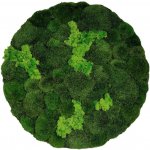 Mechový Obraz Stabilizovaný Přírodní Vícedruhový Mech Na Stěnu (Vyrábíme i na Míru) Rozměr: 25 cm – Zboží Mobilmania