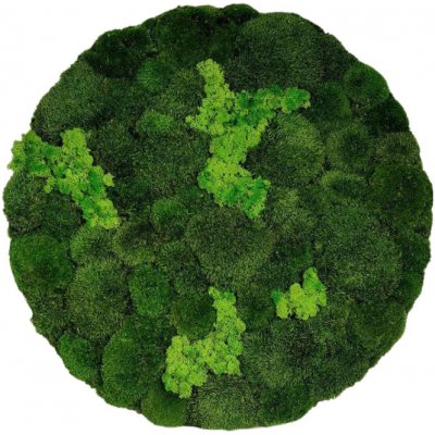 Mechový Obraz Stabilizovaný Přírodní Vícedruhový Mech Na Stěnu (Vyrábíme i na Míru) Rozměr: 25 cm – Zboží Mobilmania