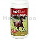Nutri Horse Chondro Plus 1 kg – Zboží Mobilmania
