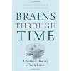 Kniha Brains Through Time: A Natural History of Vertebrates - Striedter Georg F.