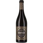 Biscardo Neropasso 13,5% 0,75 l (holá láhev) – Hledejceny.cz