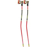 Leki WCR TBS GS 3D 2021/22 – Zboží Mobilmania