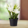 Květina Die moderne Hausfrau Umělá květina Iris bílý