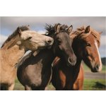 DINO Barevní koně XXL 300 dílků – Zboží Mobilmania