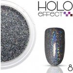 Hit Holografický prášek 08 – Hledejceny.cz