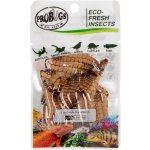 ProBugs Eco-Fresh Superworm 20 g – Zboží Mobilmania
